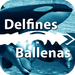 HD Delfines y Ballenas