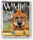 BBC Wildlife Magazine